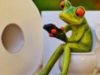 frog in the toilet