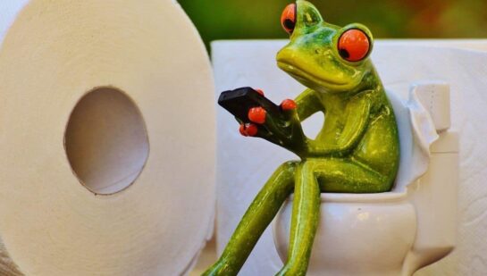 frog in the toilet