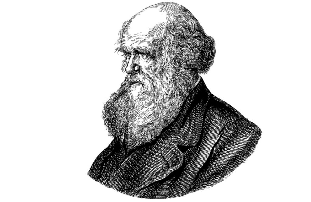 Charles Darwin and the theory of human evolution from apes
